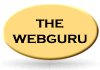 The WebGuru Cape Town